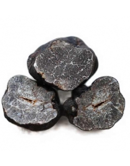 Trufas lisas Tuber Macrosporum calidad-B