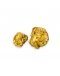 TRUFA BLANCA (TUBER MAGNATUM) calidad-B