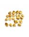 TRUFA BLANCA (TUBER MAGNATUM) calidad-C